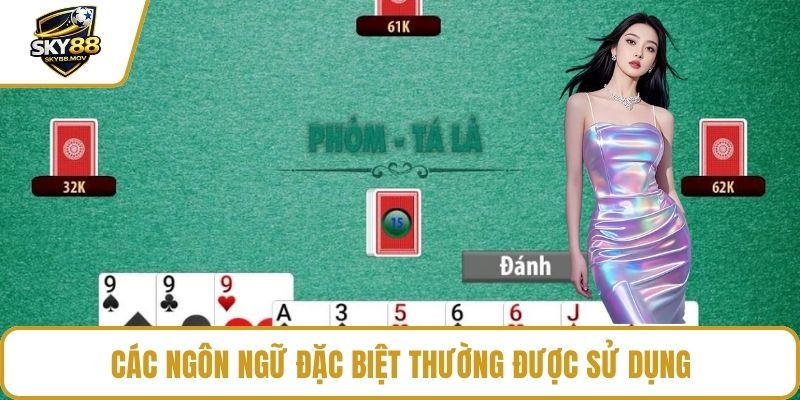 Các ngôn ngữ đặc biệt thường được sử dụng