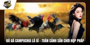 Đá gà campuchia là gì