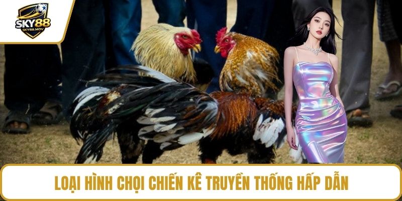Loại hình chọi chiến kê truyền thống hấp dẫn