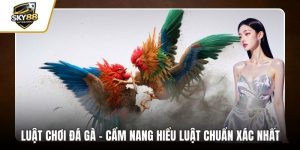 Luật chơi đá gà