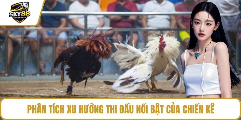 Phân tích xu hướng thi đấu nổi bật của chiến kê