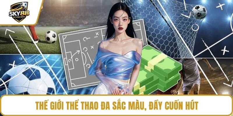 Thế giới thể thao đa sắc màu, đầy cuốn hút