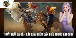 Thuật ngữ đá gà