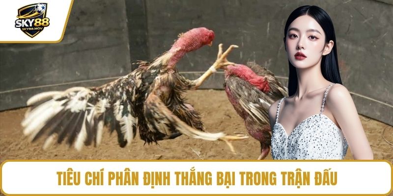 Tiêu chí phân định thắng bại trong trận đấu